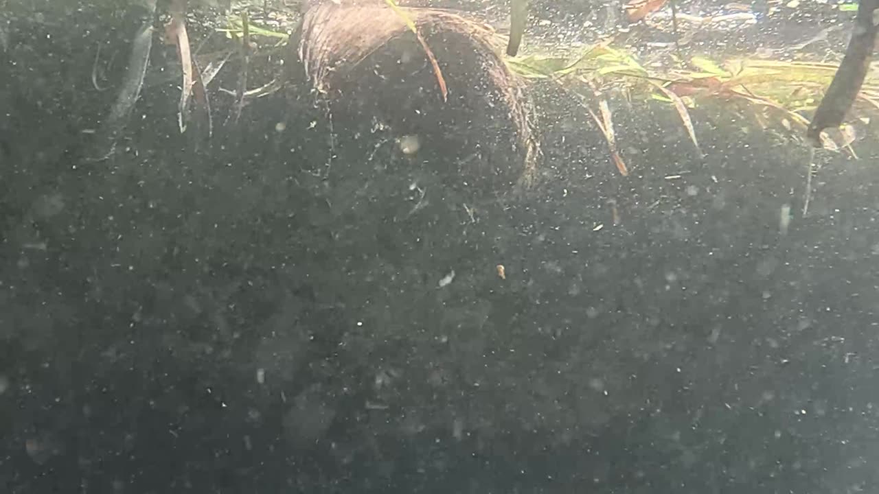 Any Day Snorkeling Is A Good Day!!