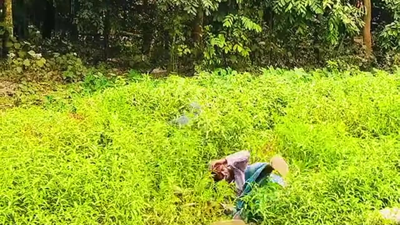 Funny video is a very popular 😄 with dilshad and tips on