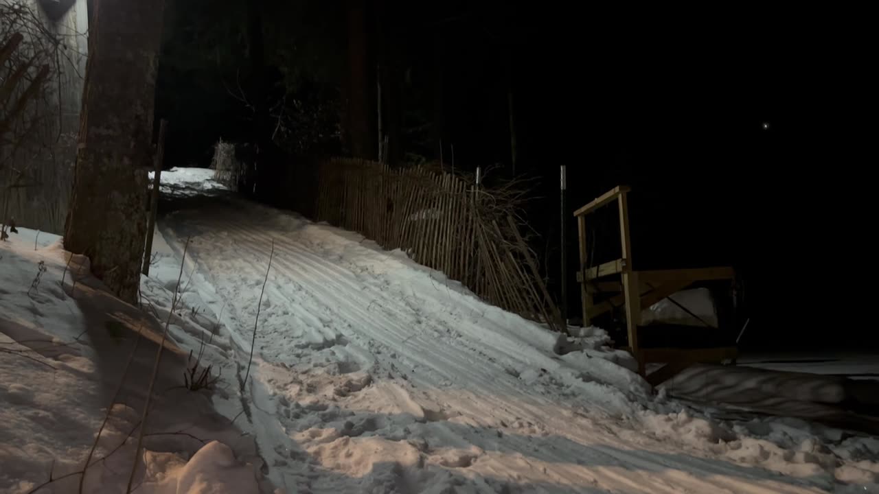 Sledding at the winter picnic in an OTTER sled?