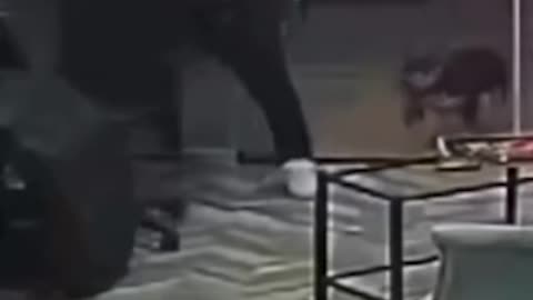 Man SWATS bullet away