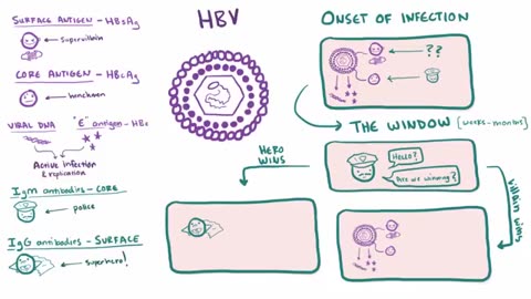 Viral hepatitis (A, B, C, D, E) - causes, symptoms, diagnosis, treatment & pathology