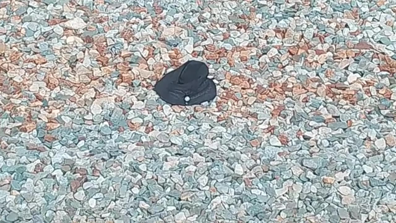 Black hat left near tracks at Cottesloe Train Station. Something for me to notice?