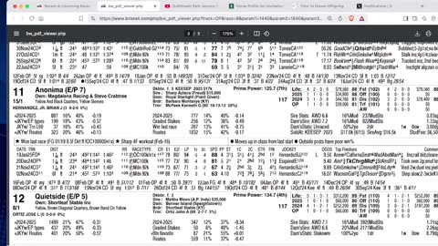 Capping Corner - Honeybee and Rebel Stakes 2025 at Oaklawn - Derby 2025 Points Race