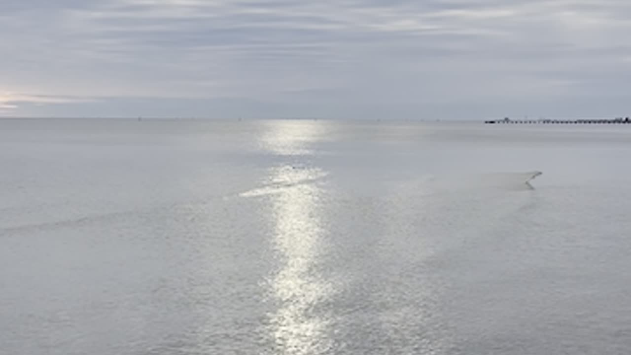 Perfect Harmony with Mother Nature #asmrsounds #asmr