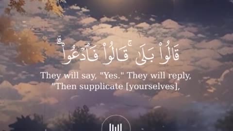 Jaza kallah ♥️✨