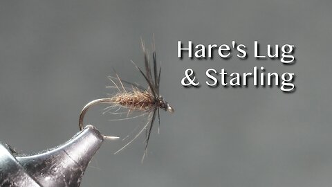 Hare’s Lug & Starling Spider fly pattern