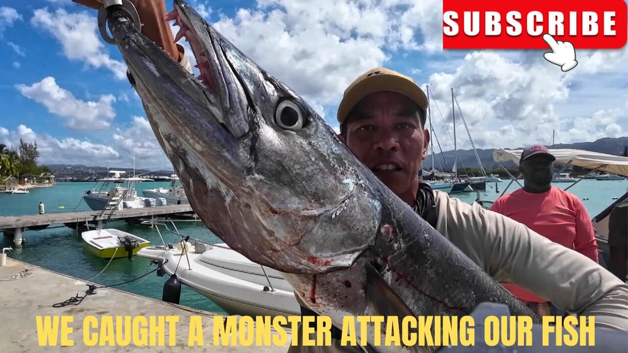 We Caught a Monster Attacking Out Fish !