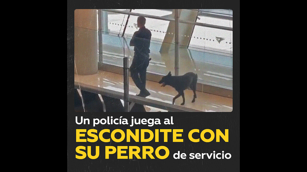 Captan a un agente jugando al escondite con su perro policía