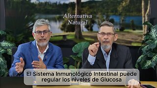 El Sistema Inmunológico puede regular los niveles de Glucosa