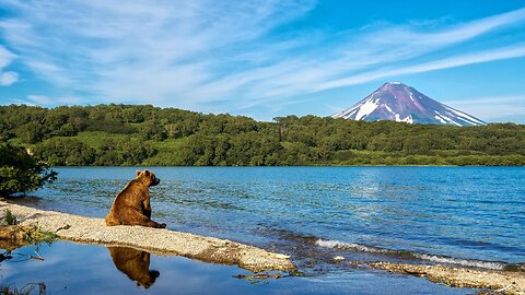 Planet Kamchatka