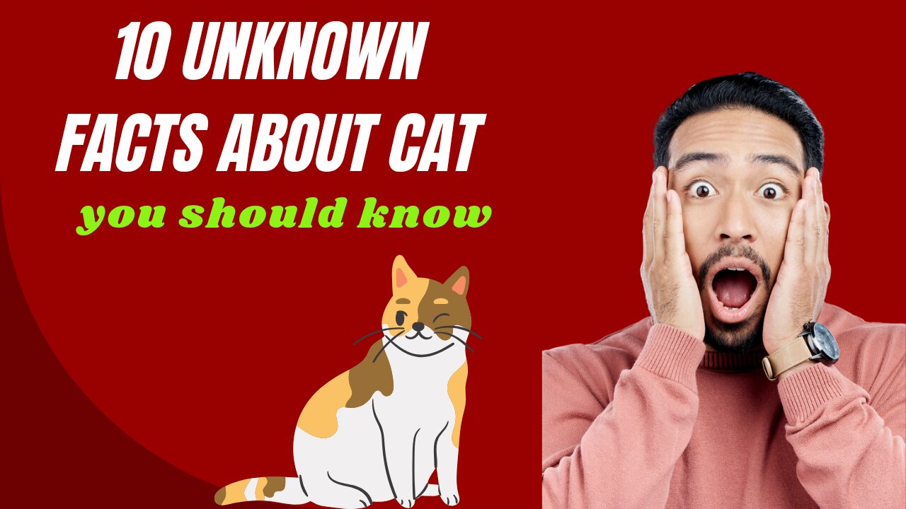 "10 Mind-Blowing Facts You Didn’t Know About Cats!"