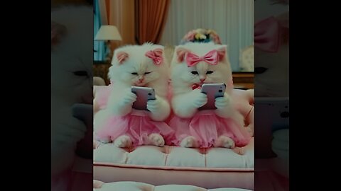 Cute Comedy Cats..😂😂🐱🐈 #world #viralshort #entertainment #foryou 