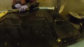 Quackccinating fish at a hatchery. Understand big pharma’s satanic strategy now?