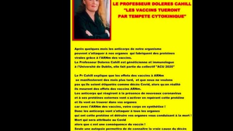 HISTOIRES SANS PAROLES N°35 @C'est DENIS qui l'dit !