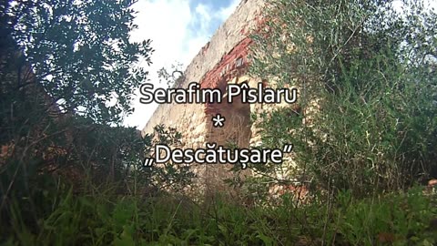 Serafim Pîslaru - Descătușare