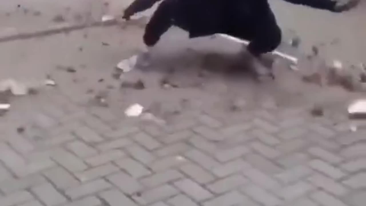 Real life airbender @newvideotest