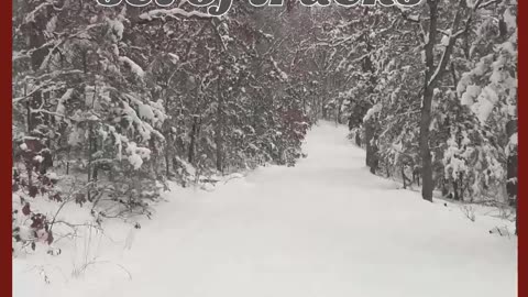 1st Set of Tracks