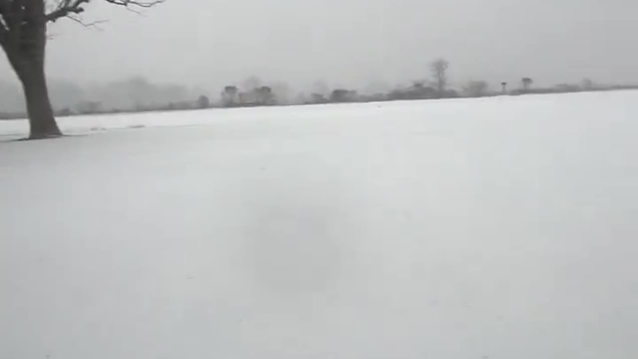 Snow Still coming down pretty good. I’ve never seen this before over here…