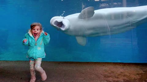 Little Friends' First Encounters With Creatures At The Aquarium