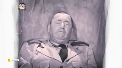 Three stooges Bangla dubbing Three stooges funny video