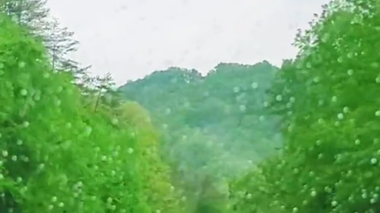 FOTD Spring 2024 Gott keep livin