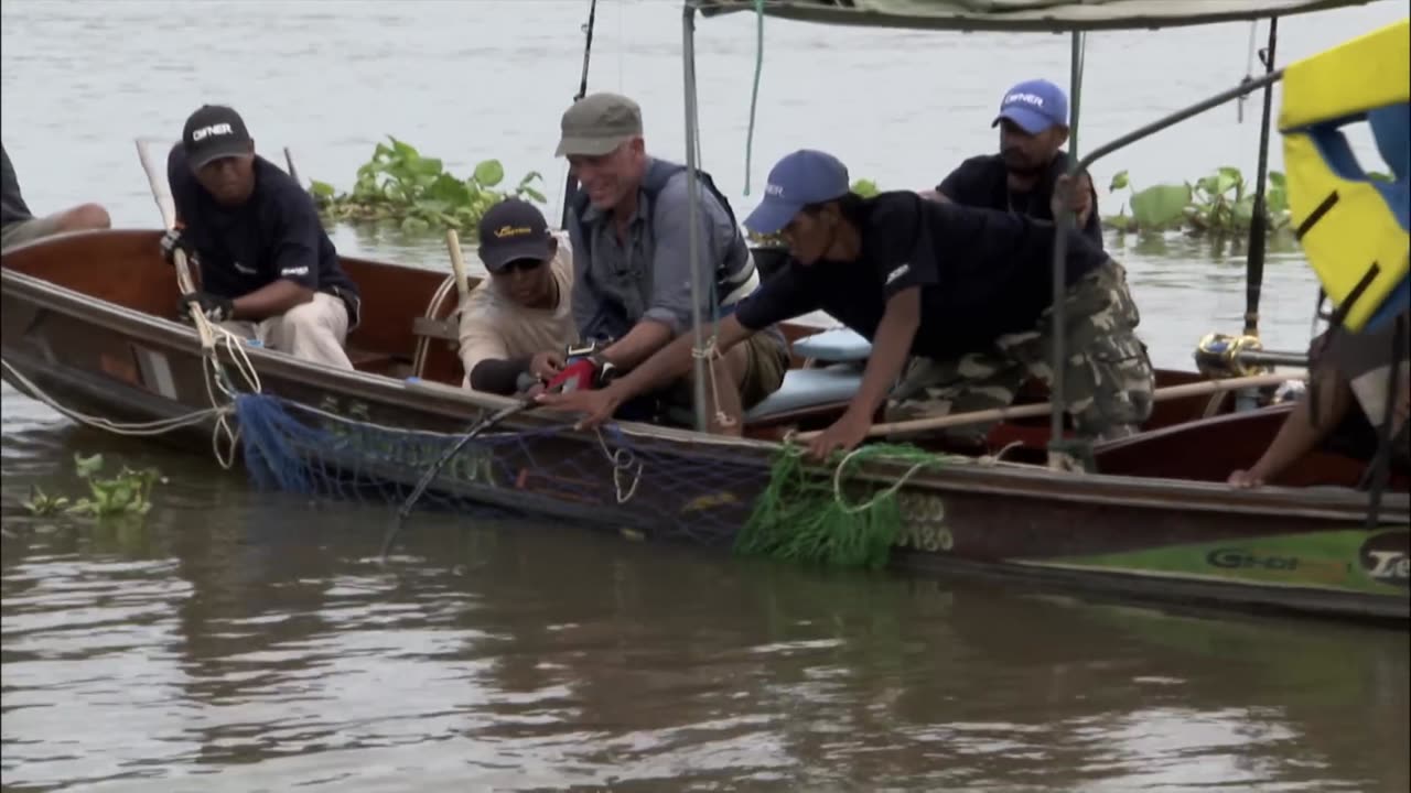 Jeremy Catches Pregnant Stingray Which Then Gives Birth! | STINGRAY | River Monsters