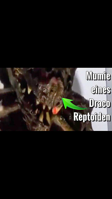 In einem unzugänglichen Teil eines Museums in Belarus ist ein mummifizierter Reptiloid ausgestellt