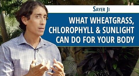 What Wheatgrass, Chlorophyll & Sunlight Can Do for the Body