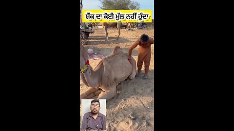 Jagdev Noharwala ਜਗਦੇਵ ਨੋਹਰਵਾਲਾ #viralreel #reels #video #viralvideos #post #viral #trending