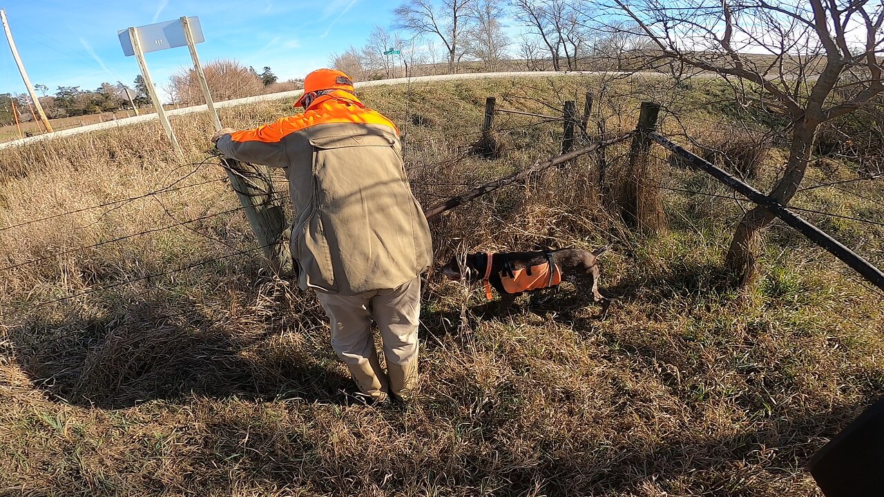 Fence crossing