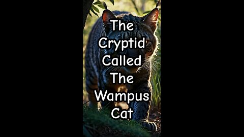 The Cryptid Called The Wampus Cat.