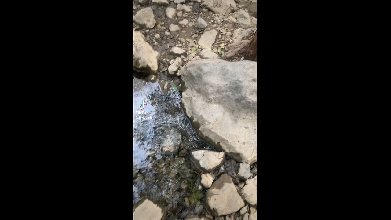 “Chasing trails, finding peace 🌿✨ #HikingAdventures #TrailBliss #NatureVibes”