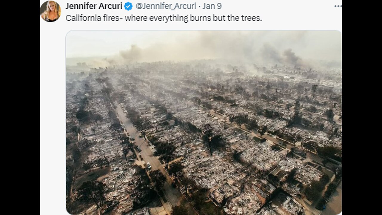 Notice the trees still seem fine with houses & cars burned to a crisp. Strange.