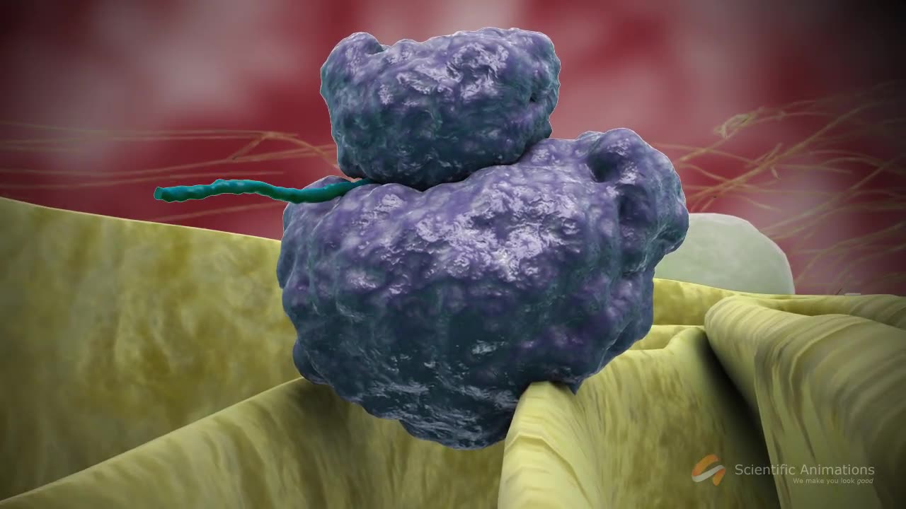 SwineFlu Influenza H1N1 Mechanism of Action MOA Animation