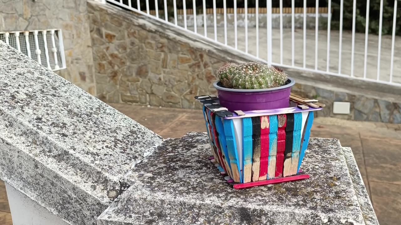 Tiesto para suculentas