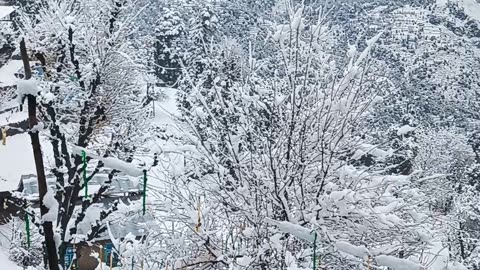Beautiful view my village in india snowfall