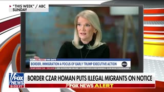 DHS official reveals 'the next target' for ICE raids