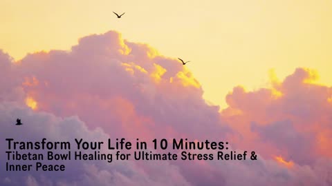 Transform Your Life : Tibetan Bowl Healing for Ultimate Stress Relief & Inner Peace by Healthyram