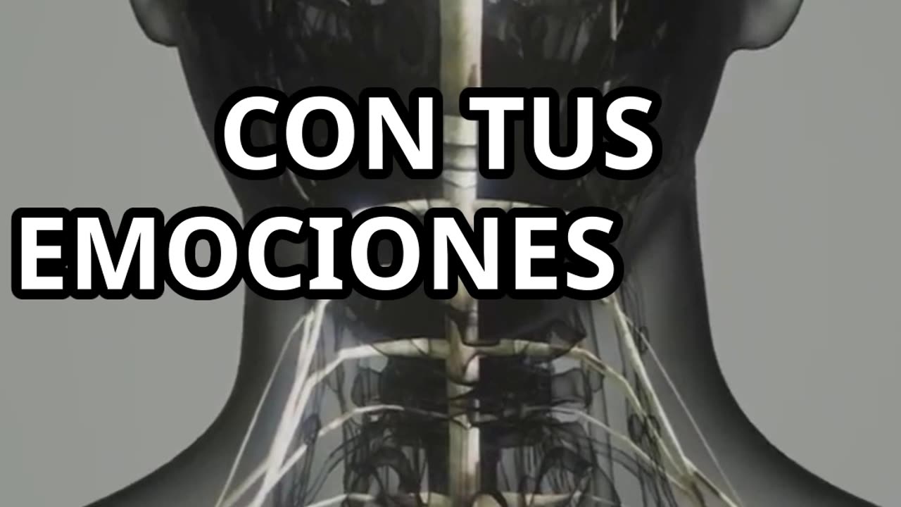"El Nervio Vago: El Interruptor Secreto de tu Superconsciencia"