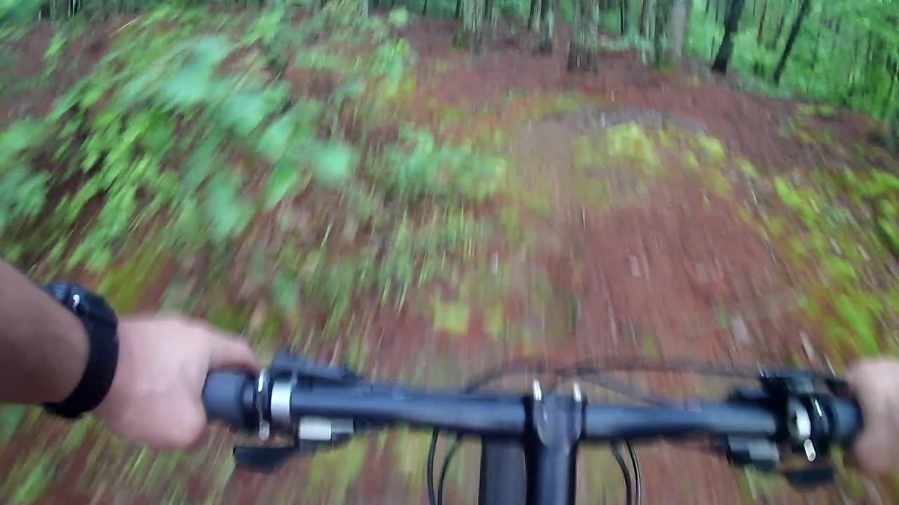 Bike Crash in the woods