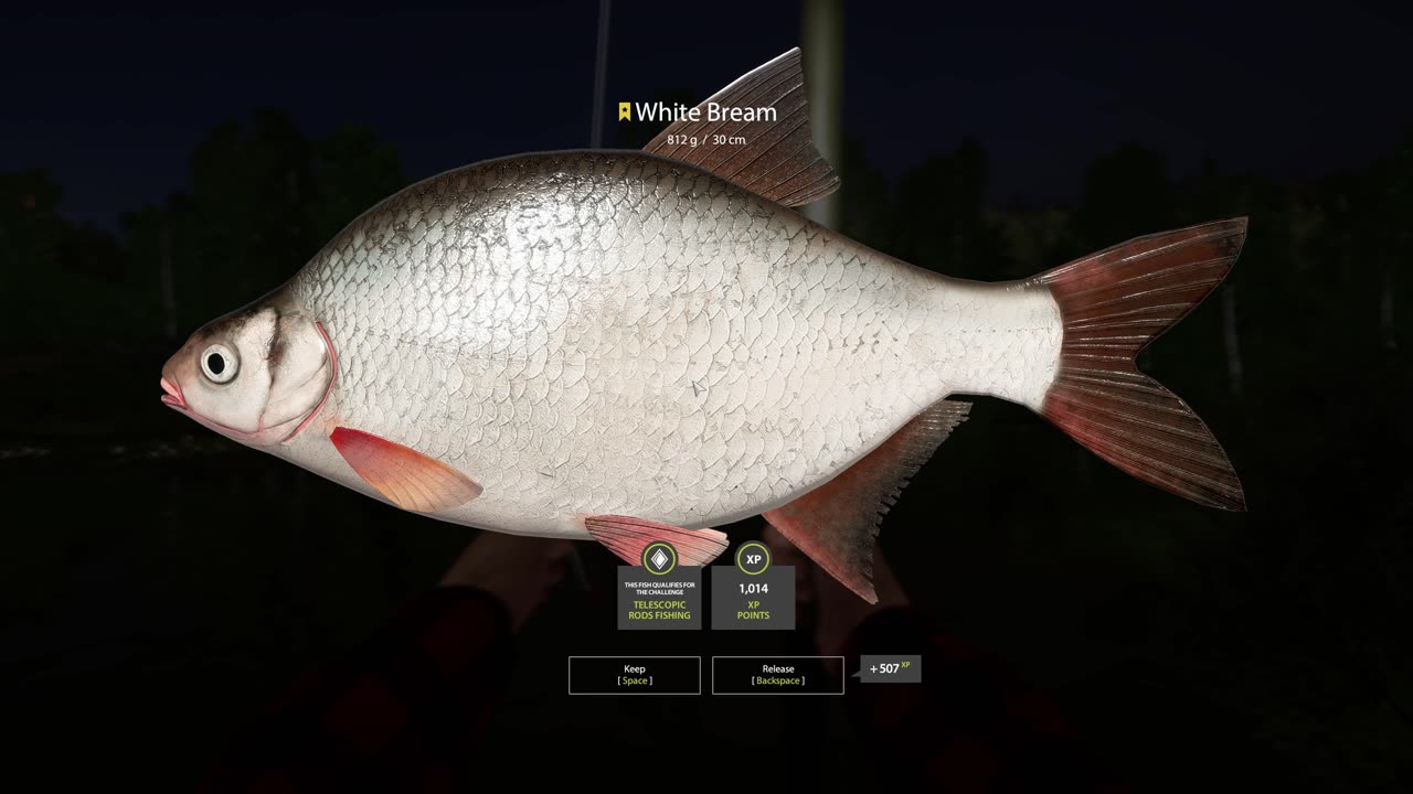 Trophy white bream Mosquito Lake, Russian Fishing 4, PC game