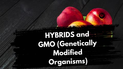 UNDERSTANDING THE IMPACT OF HYBRIDS & GENETICALLY MODIFIED ORGANISM (GMO)