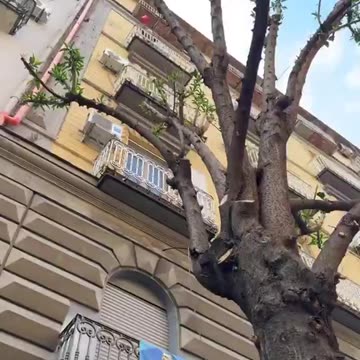 The Italian grandmother has had enough of fake asylum seekers selling stolen