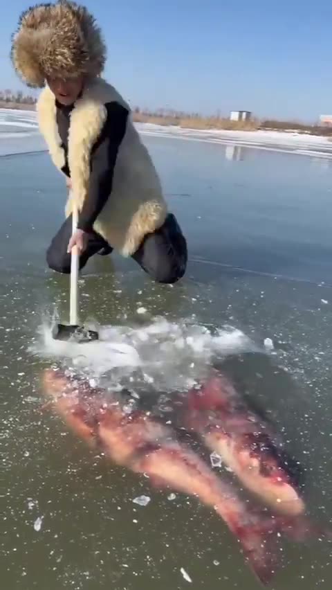 Fishing with a sledgehammer Talk about fresh frozen