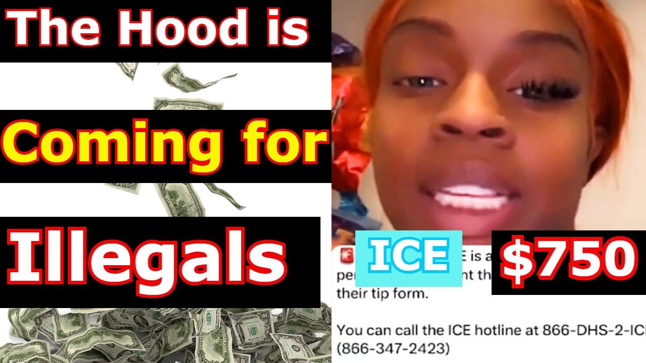 The hood is coming for illegals! Calling ice & getting paid!