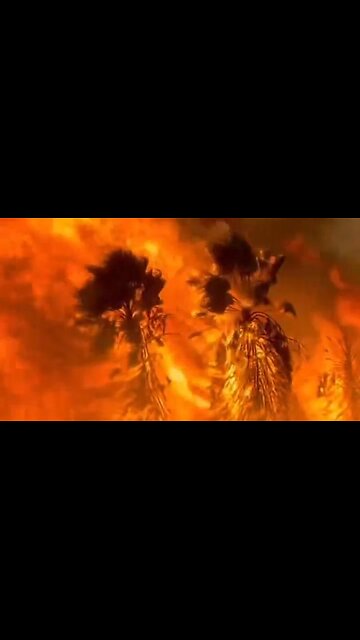 Amy Reichert - Hearing from San Diego firefighters off the record that the massive fire near @SDSU w