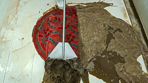 Sewer Overflow - Cleaning The Hardest Carpet Of My Life! - Satisfying Video, ASMR Cleaning