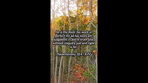 Deuteronomy 32:4 KJV