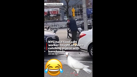 NYC halal food cart worker caught on video catching pigeon with bare hands.