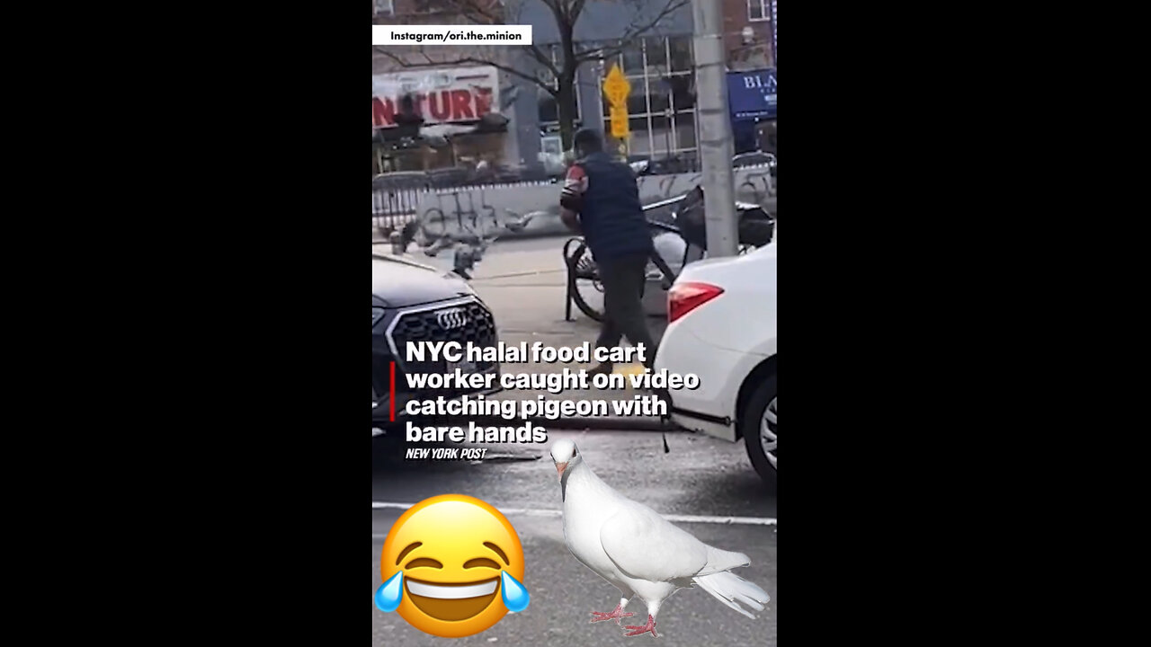 NYC halal food cart worker caught on video catching pigeon with bare hands.